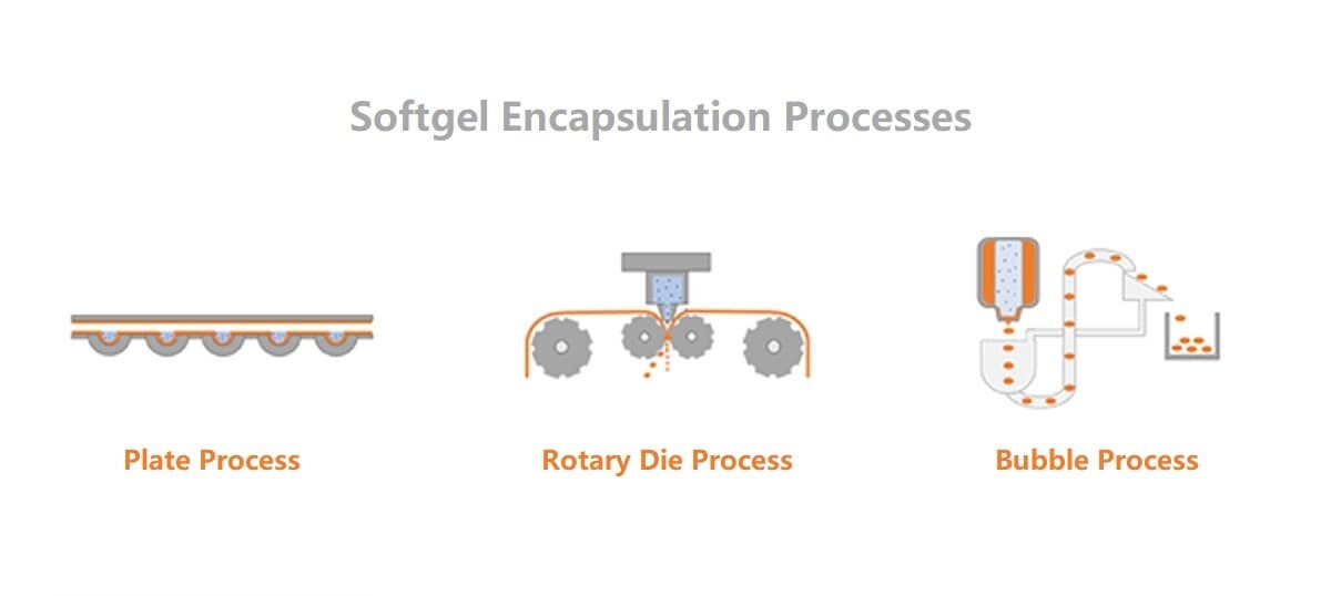 softgel making process